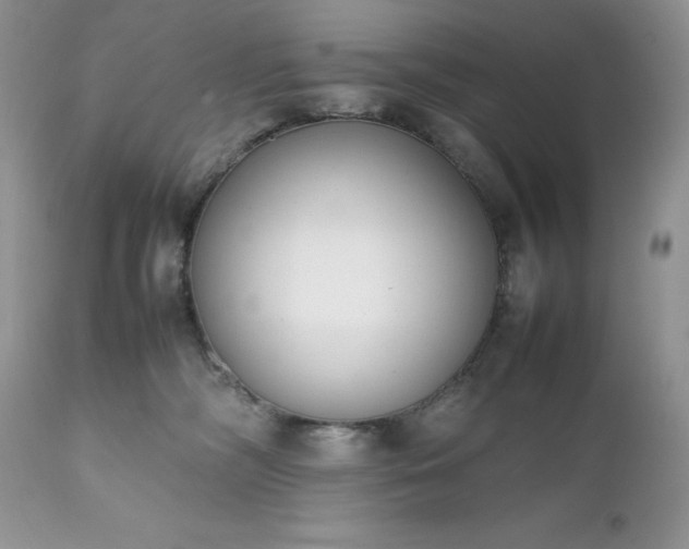 X0000111780326200907301127