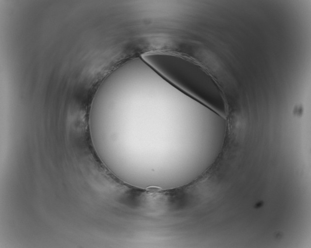 X0000111780327200907301127