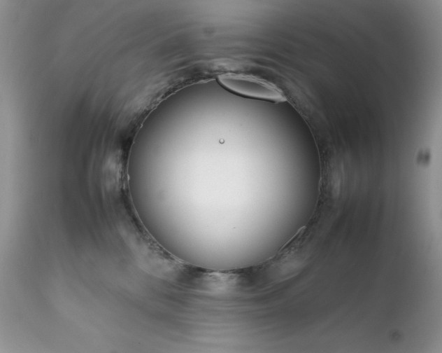 X0000111780328200907301127