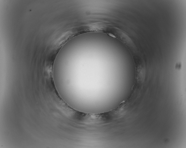 X0000111780329200907301127