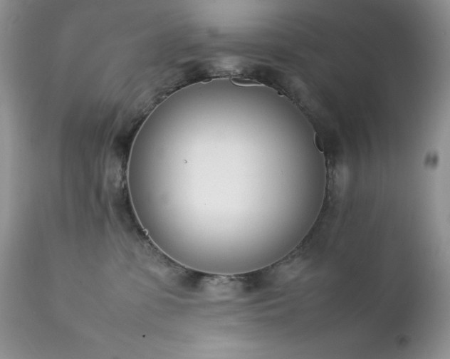 X0000111780331200907301127