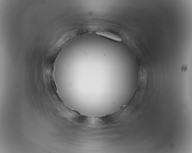 X0000111780333200907301127