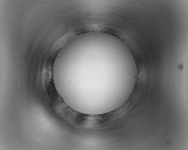 X0000111780334200907301127