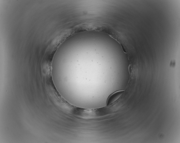 X0000111780335200907301127