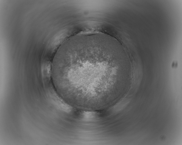 X0000111780336200907301127