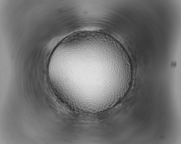 X0000111780337200907301126