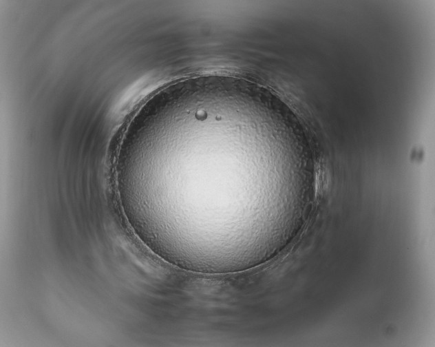X0000111780339200907301126