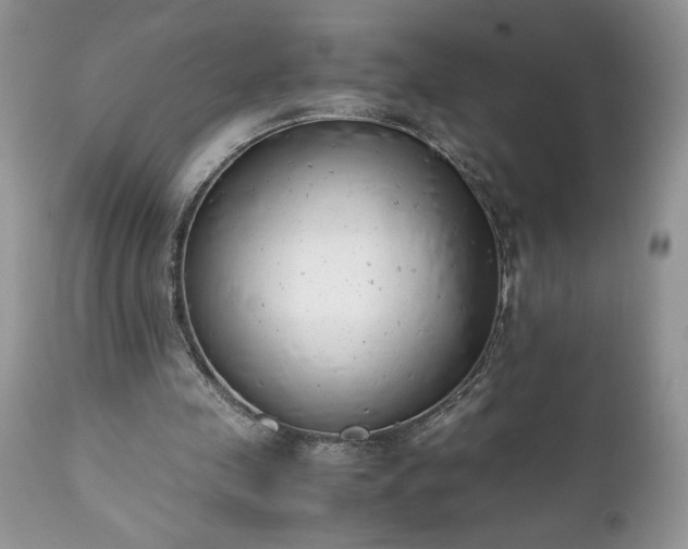 X0000111780341200907301126