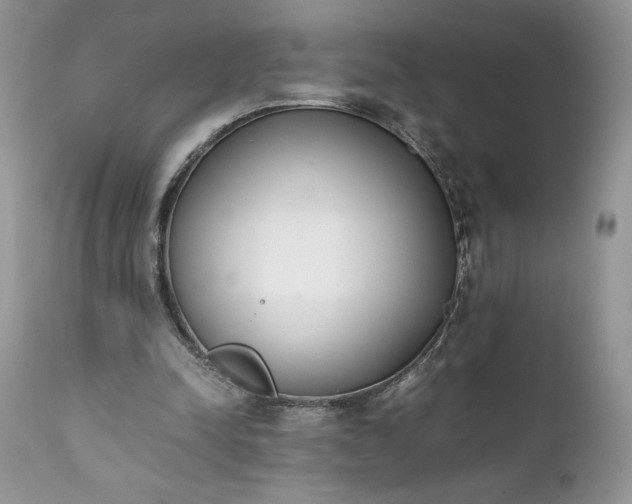 X0000111780342200907301126