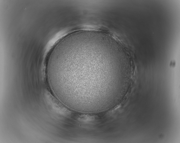 X0000111780343200907301126
