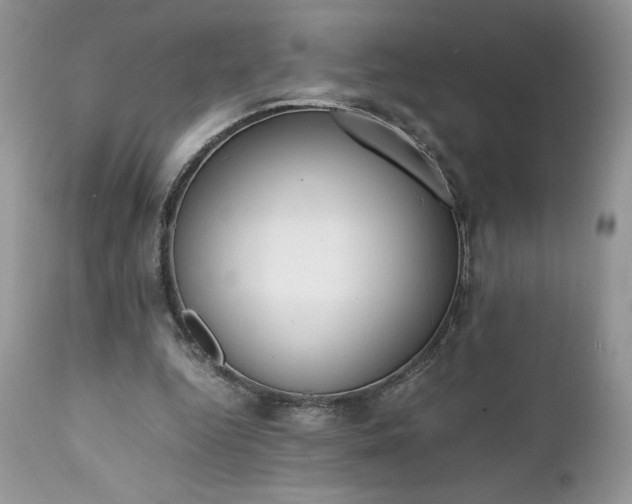 X0000111780344200907301126