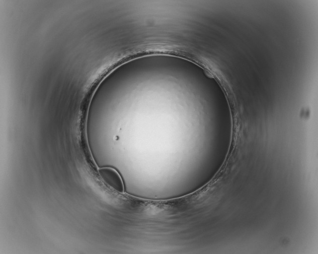 X0000111780346200907301126