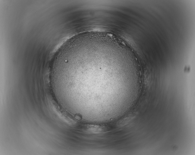 X0000111780347200907301126