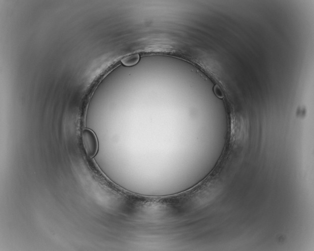 X0000111780348200907301126