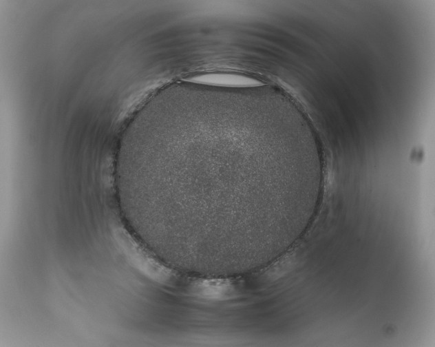 X0000111780353200907301126