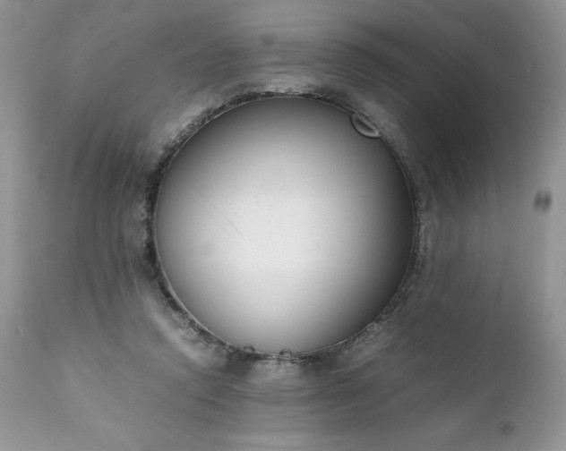 X0000111780354200907301126