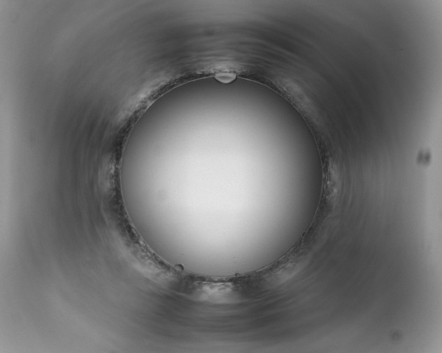 X0000111780355200907301126