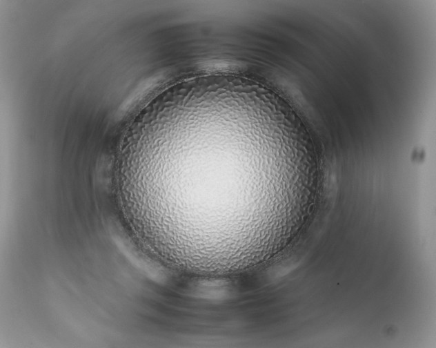 X0000111780357200907301126