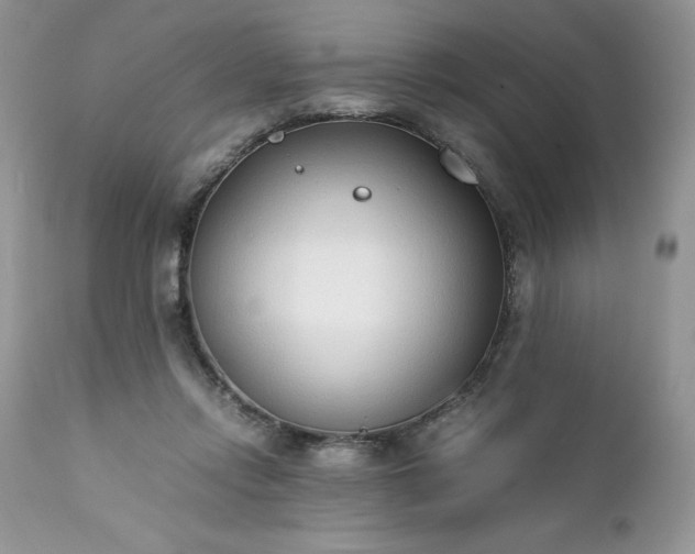 X0000111780358200907301127