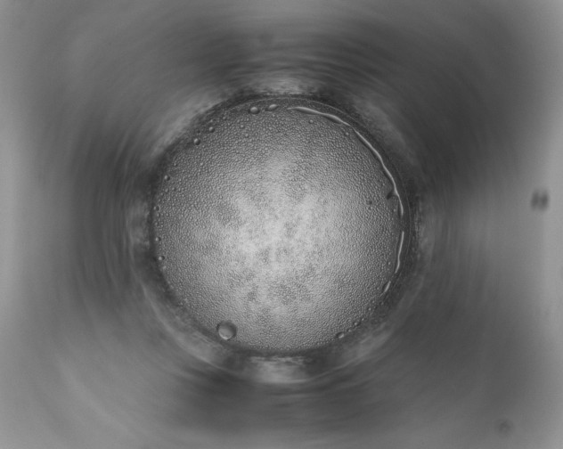 X0000111780359200907301127