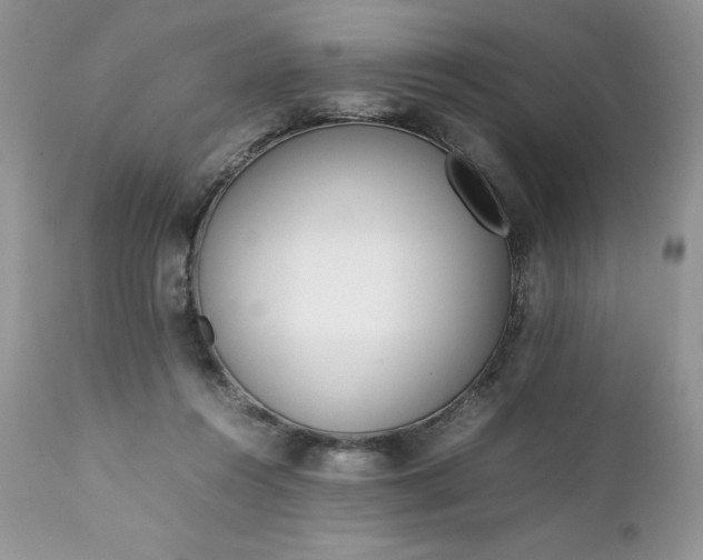 X0000111780360200907301127