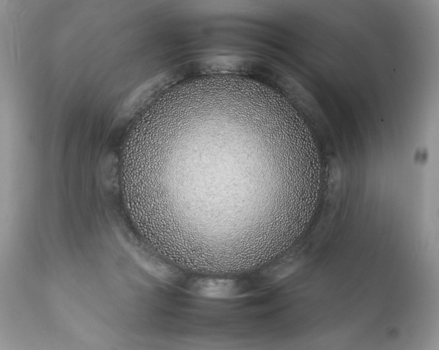 X0000111780361200907301127
