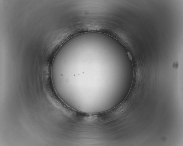 X0000111780362200907301127