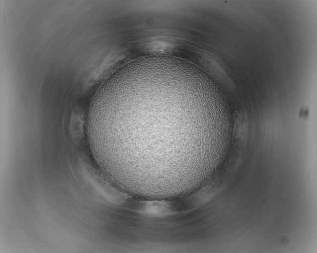 X0000111780363200907301127