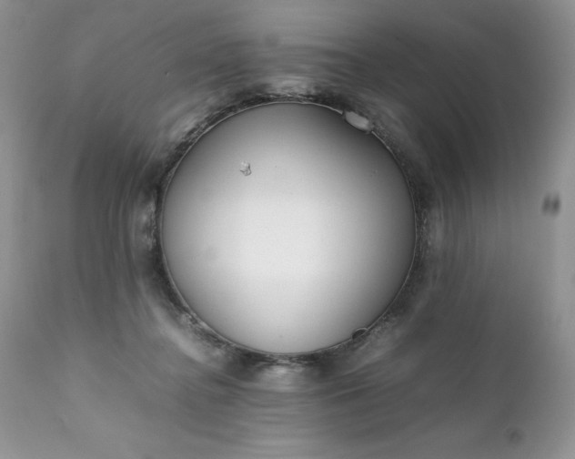 X0000111780364200907301127