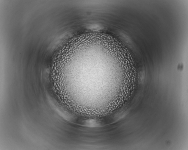 X0000111780365200907301127