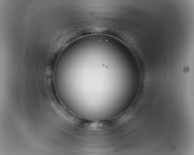 X0000111780366200907301127