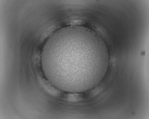 X0000111780367200907301127