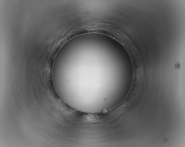 X0000111780372200907301127