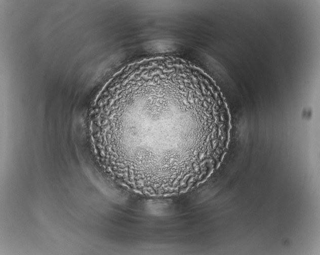 X0000111780373200907301127