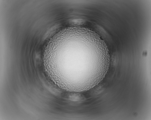 X0000111780377200907301127