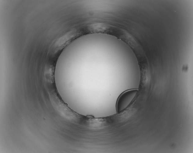 X0000111780378200907301127