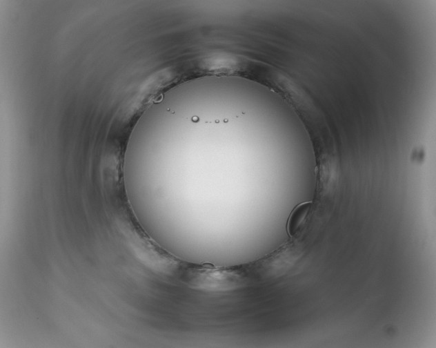 X0000111780379200907301127
