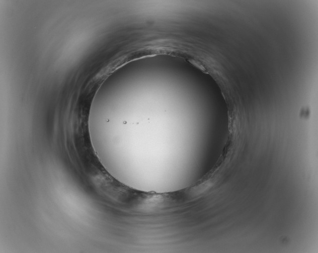 X0000111780382200907301127