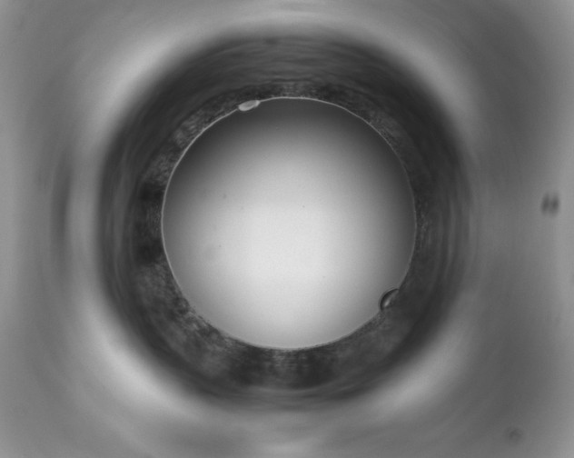 X0000111780383200907301127