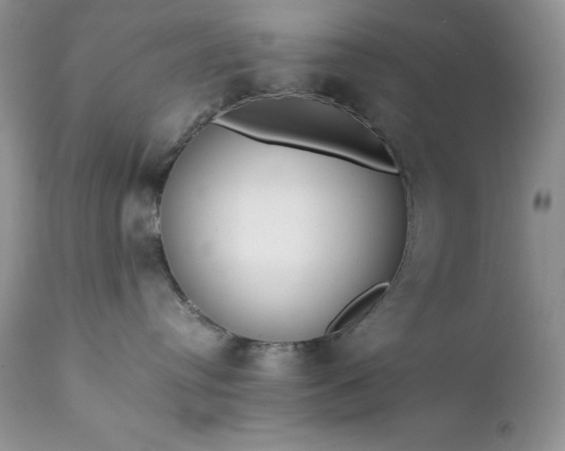 X0000111780384200907301127
