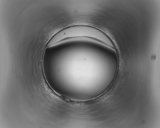 X0000111780385200907301126