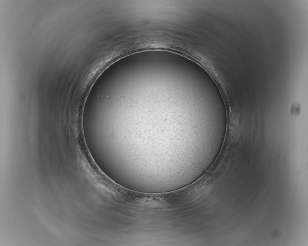 X0000111780386200907301126