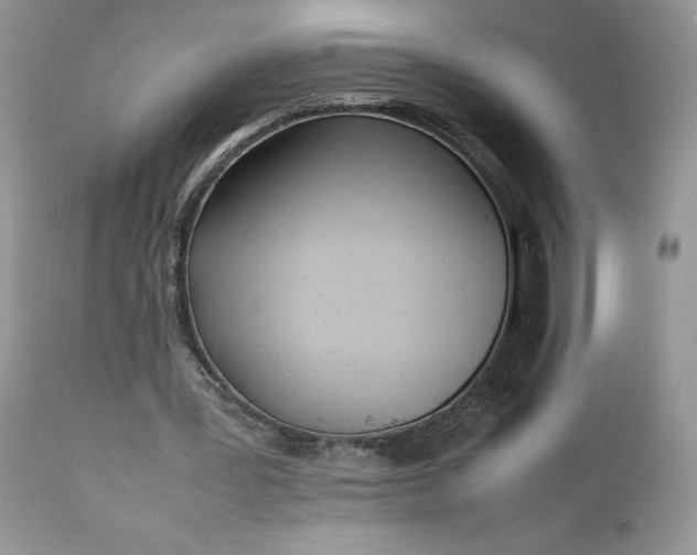 X0000111780387200907301126