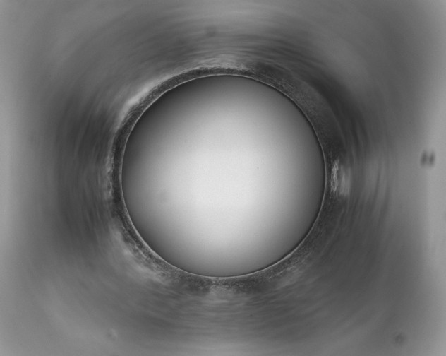 X0000111780388200907301126