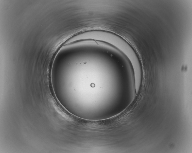 X0000111780389200907301126