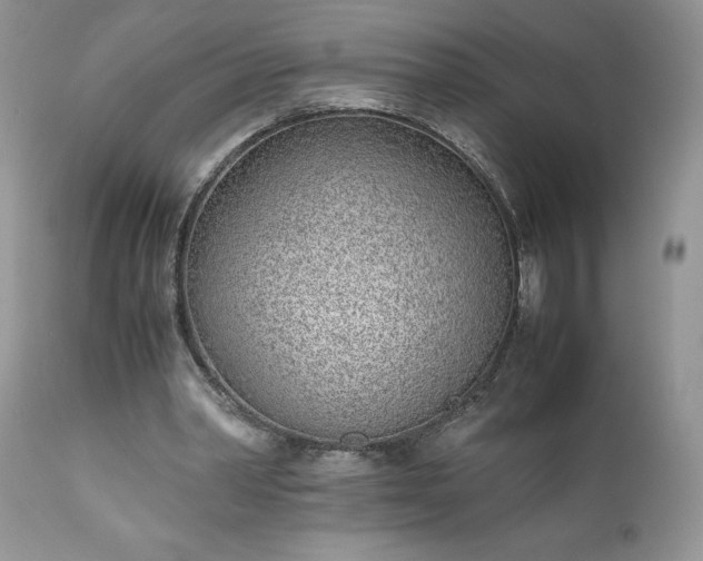 X0000111780390200907301126