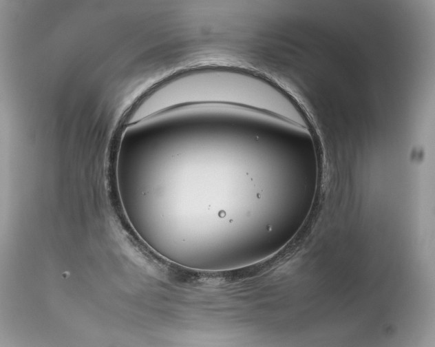 X0000111780391200907301126