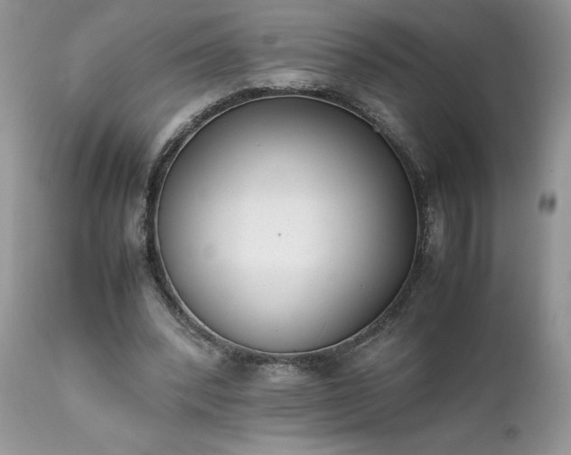 X0000111780392200907301126