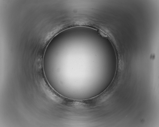 X0000111780393200907301126