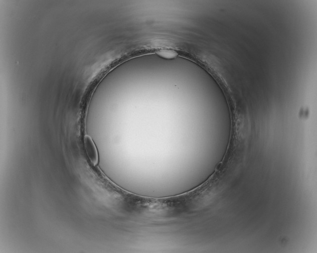 X0000111780395200907301126
